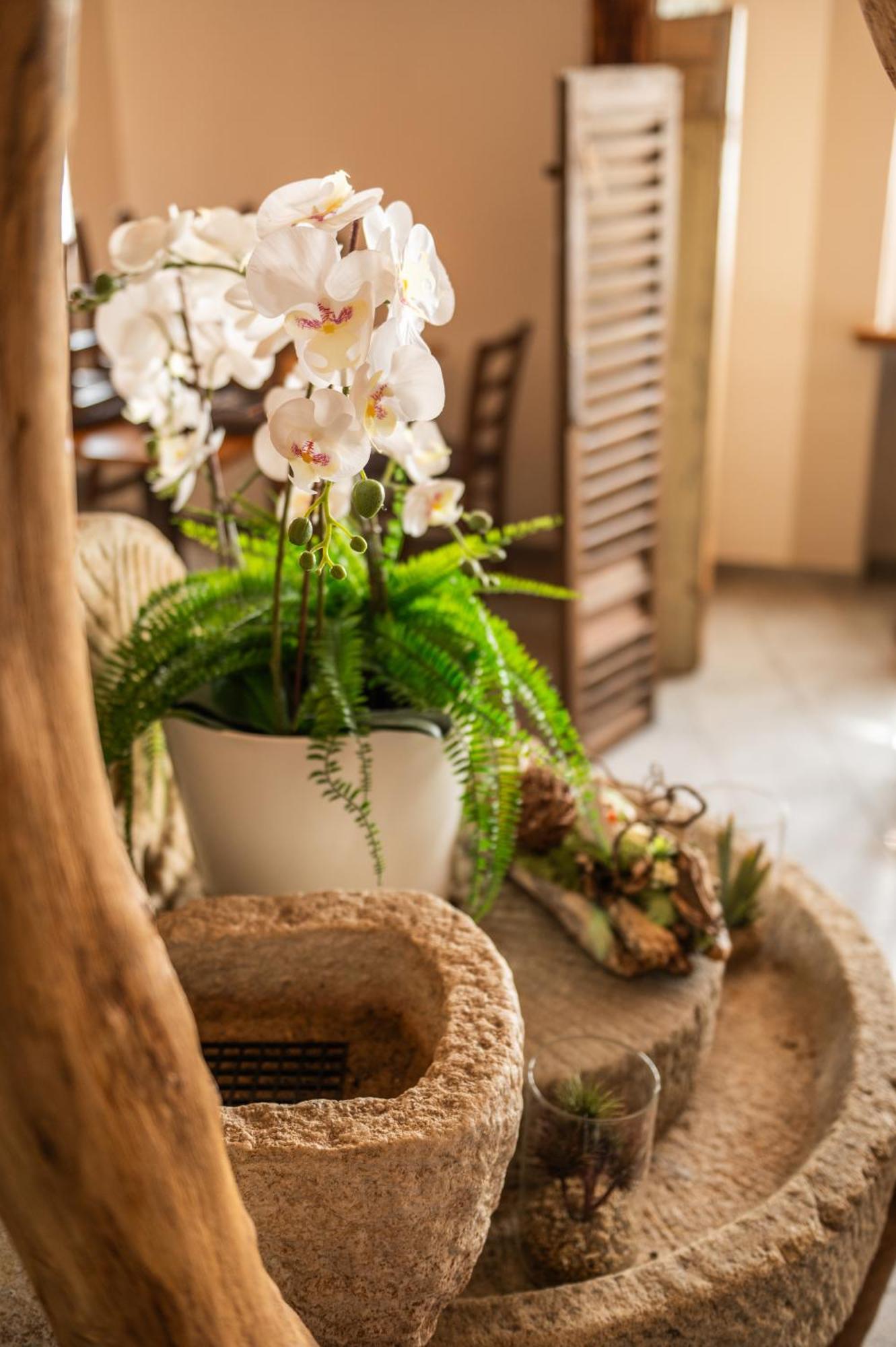 Poncini Inn 3*